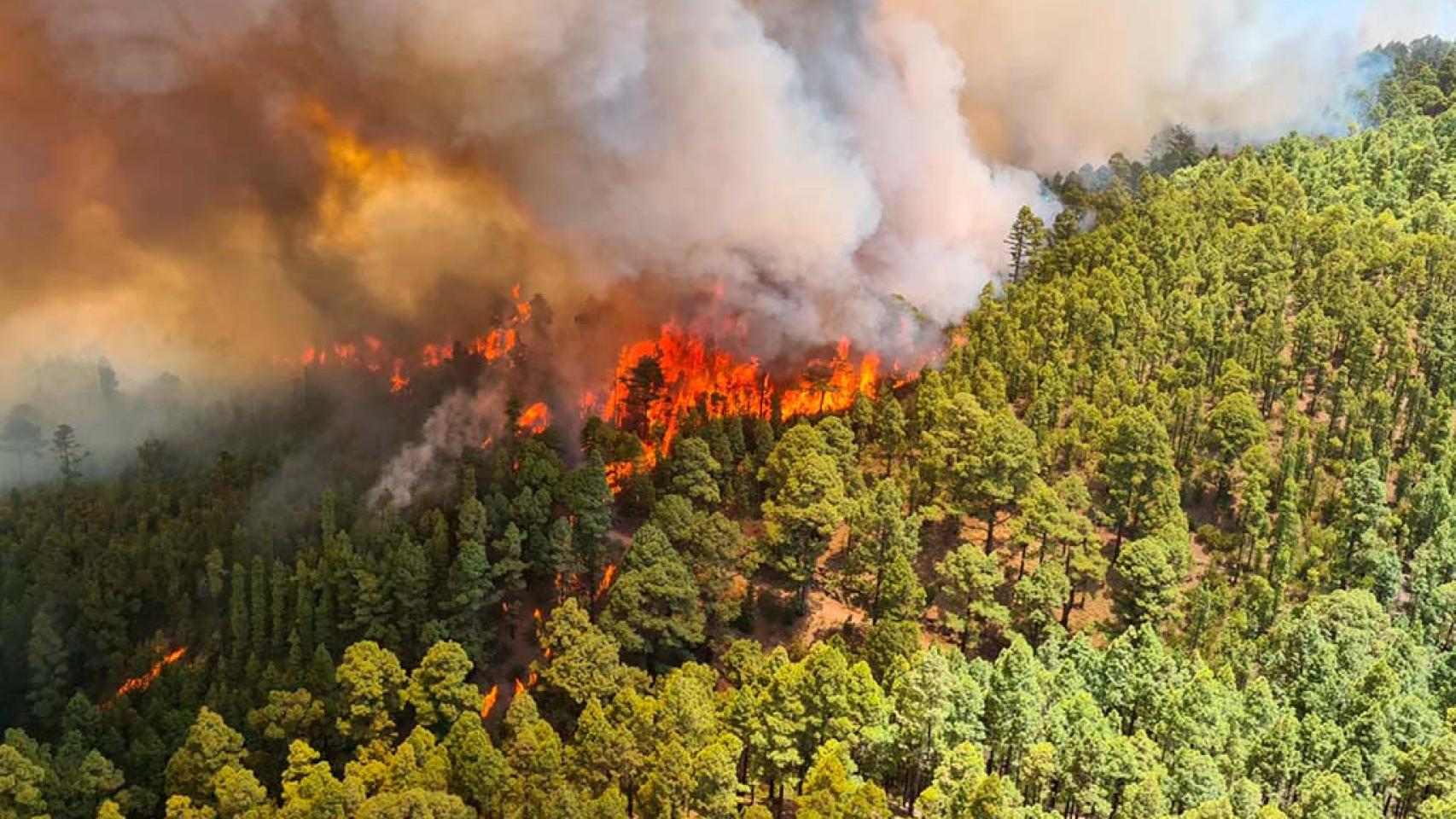 EMERGENZA INCENDIO A MONTORIO AL VOMANO: FIAMME DEVASTANO LA COLLINA, PAURA TRA I RESIDENTI