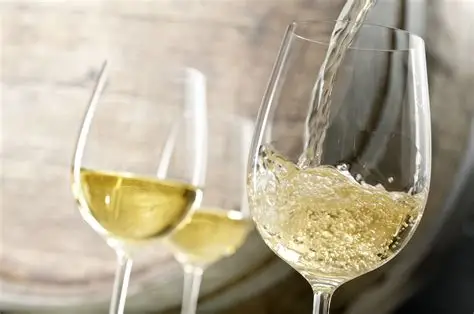Il Tesoro Bianco d’Abruzzo: il Trebbiano e il Montonico tra i filari di Basciano